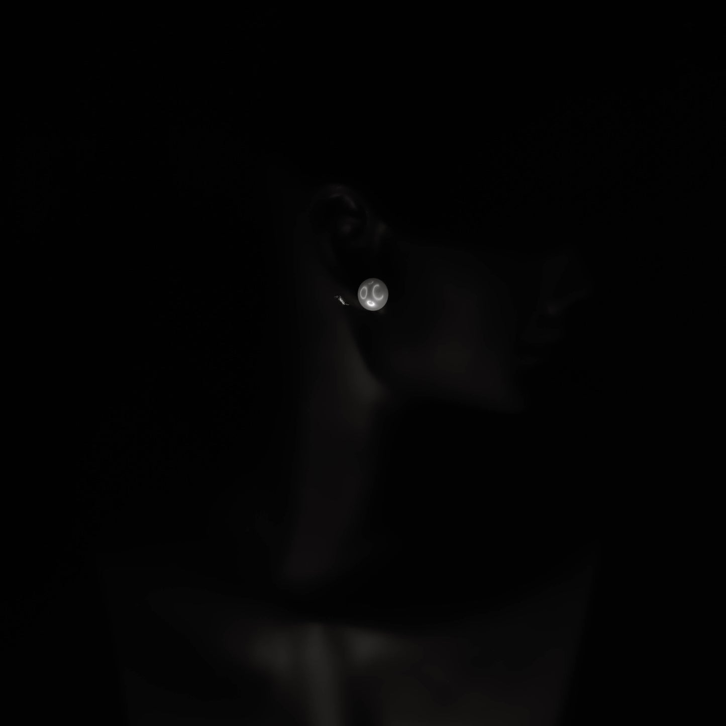 Pärlörhängen i 925 Sterling Silver