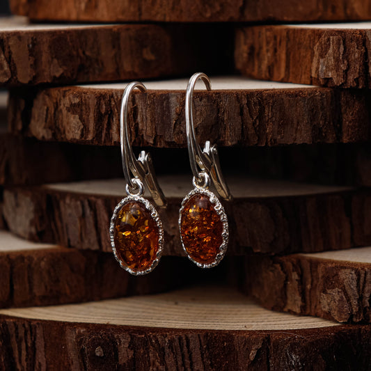 Amber Classic Oval örhängen i 925 Sterling Silver med Bärnsten