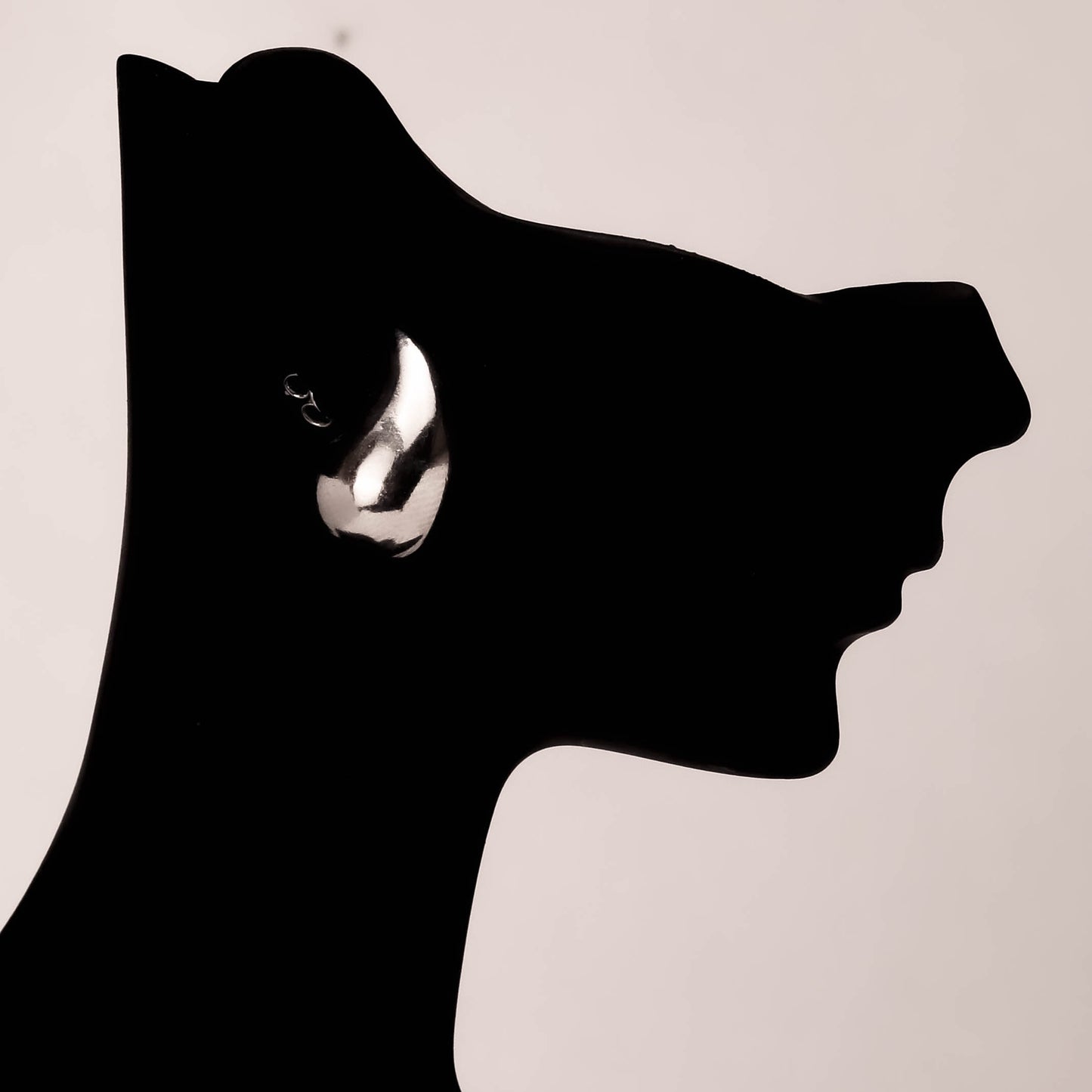 Astra Silverörhängen - 925 Sterling Silver