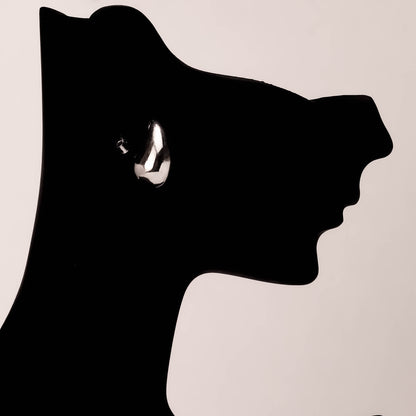 Astra Silverörhängen - 925 Sterling Silver